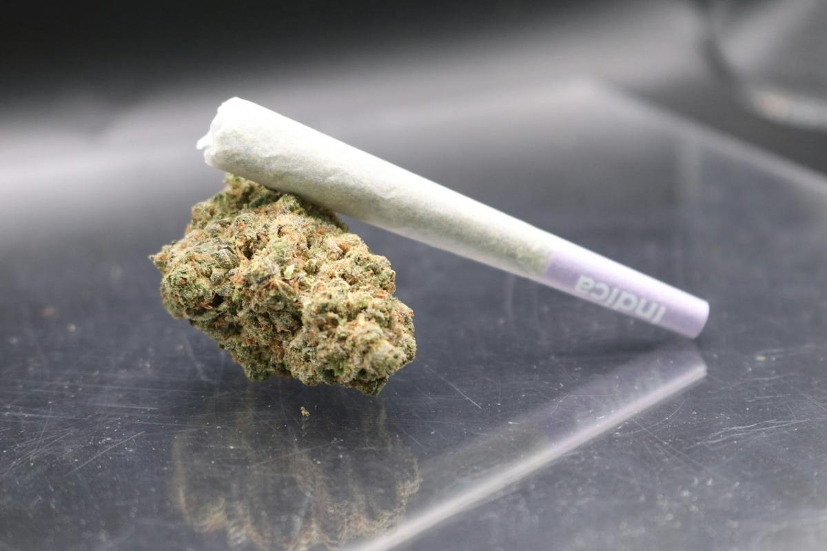 GMO Cookies 1g Pre Roll at Mesa Flowers Canna Co.