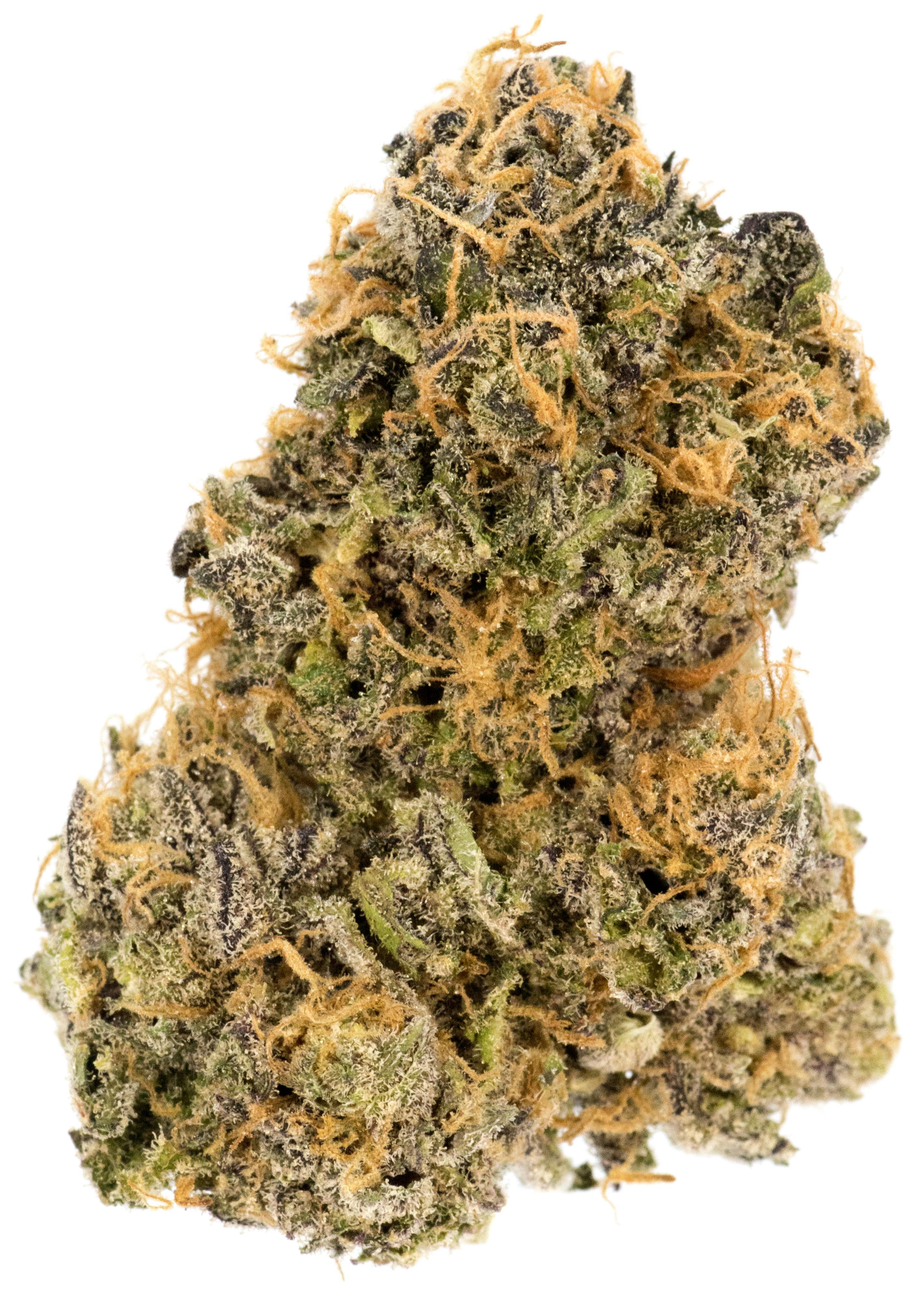 Guava
