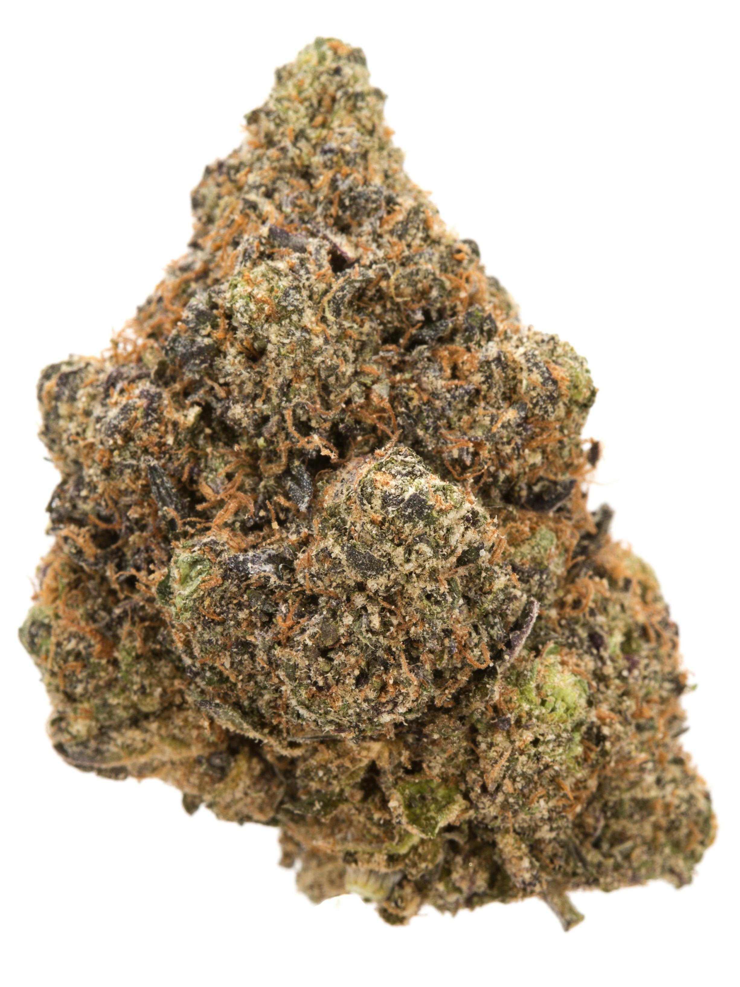 Gelato L3