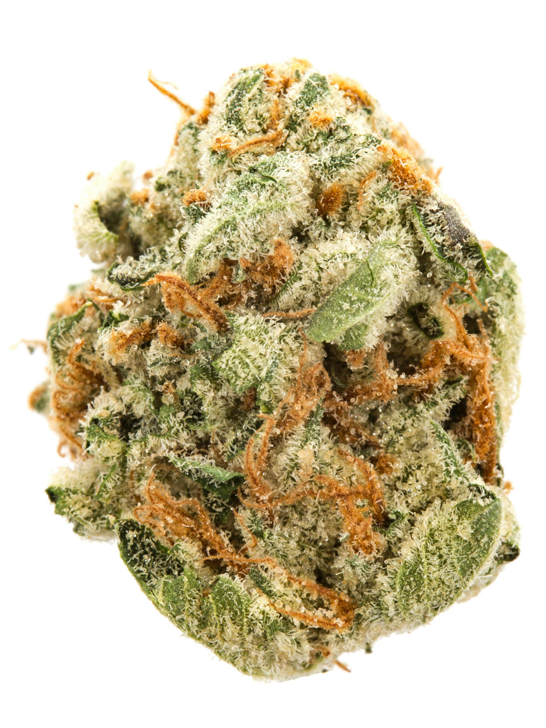 Gelato 33