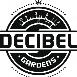 Decibel Gardens — Alien Orange