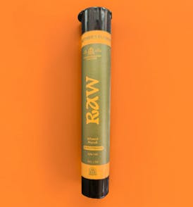 Raw Extra Strength – Blueberry 🫐