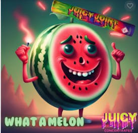 What A Melon 🍉✨ – 1g Infused Joint