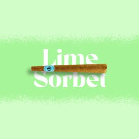Doinks Blunt – Lime Sorbet 🍋🍧 Infused Blunt