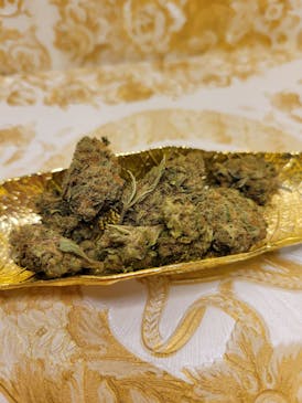 GG #4 – 🦍🪨 – Silver Label Collection