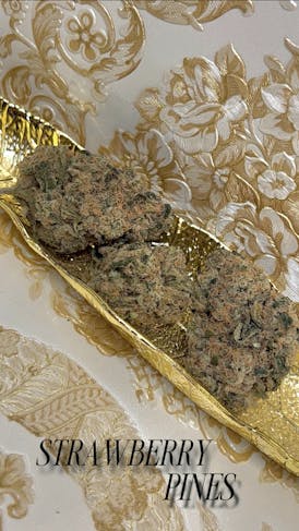 Strawberry Pines – 🍓🌲 – Platinum Collection