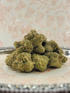 Zooted – 🚀🌈💎 – Platinum Label Collection