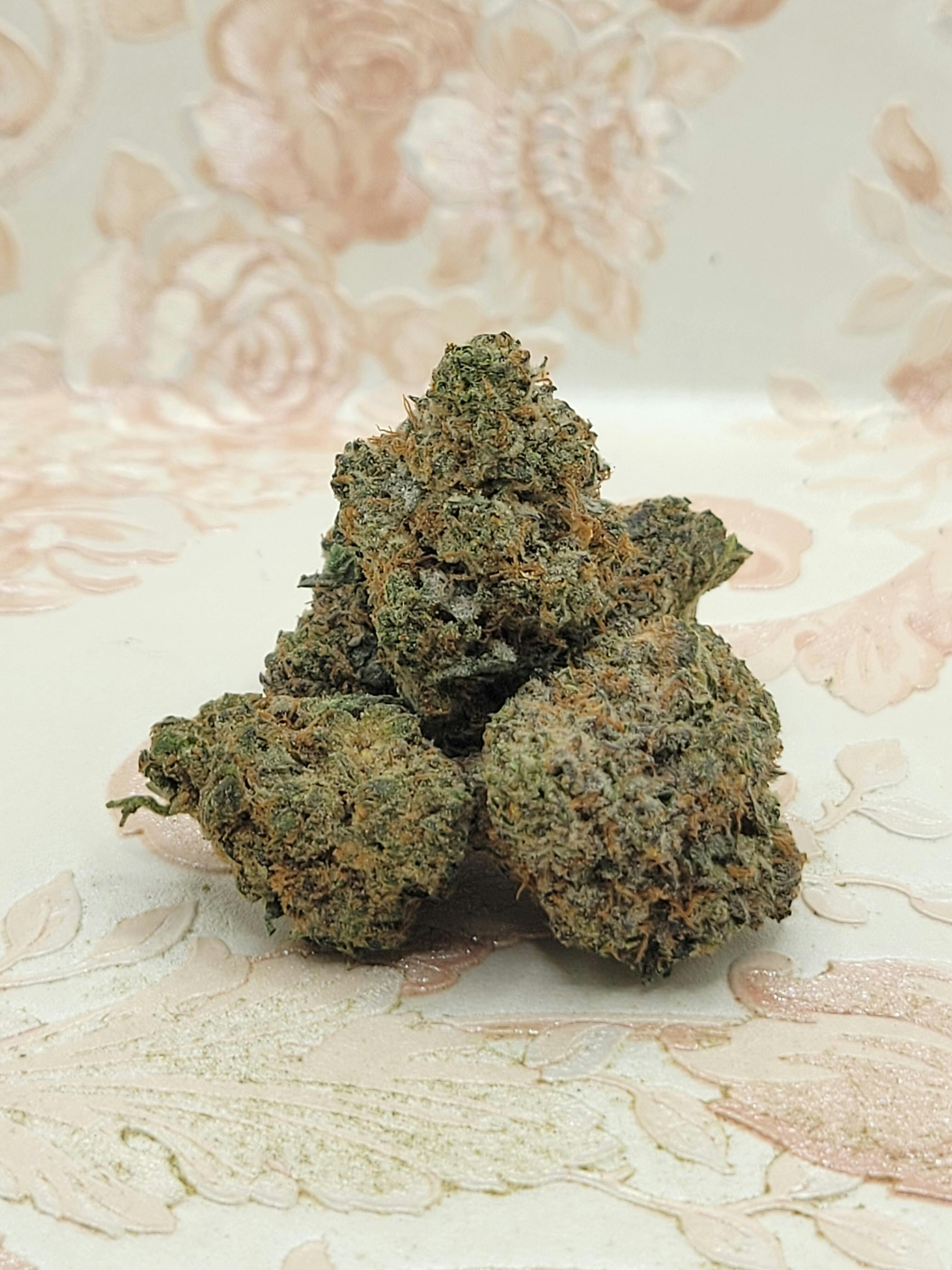 Rocket Power 🚀⛽🔥 Supreme Label Flower (MED)