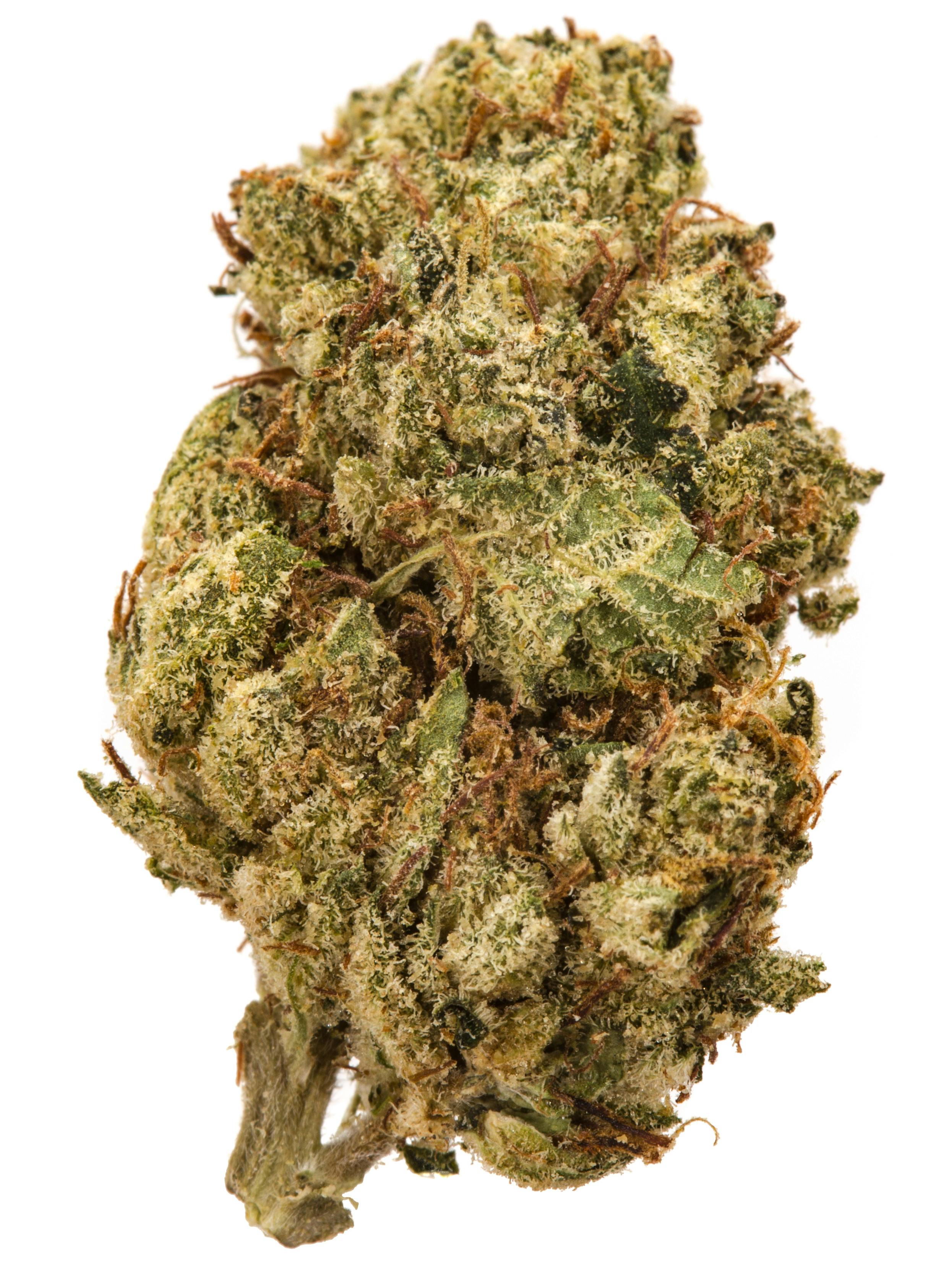 Platinum Cake Mints 💎🎂💨 Exclusive Label Flower (REC)
