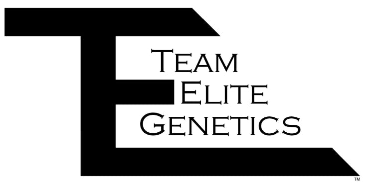 Team Elite Genetics: Cream Cheese