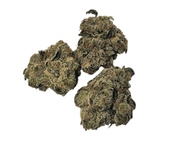 Queen B'z Reserve - Jetlato - 14g - Hybrid/Indica
