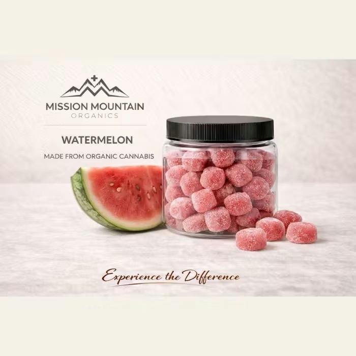 Watermelon Gummies - 10 Pack - Hybrid