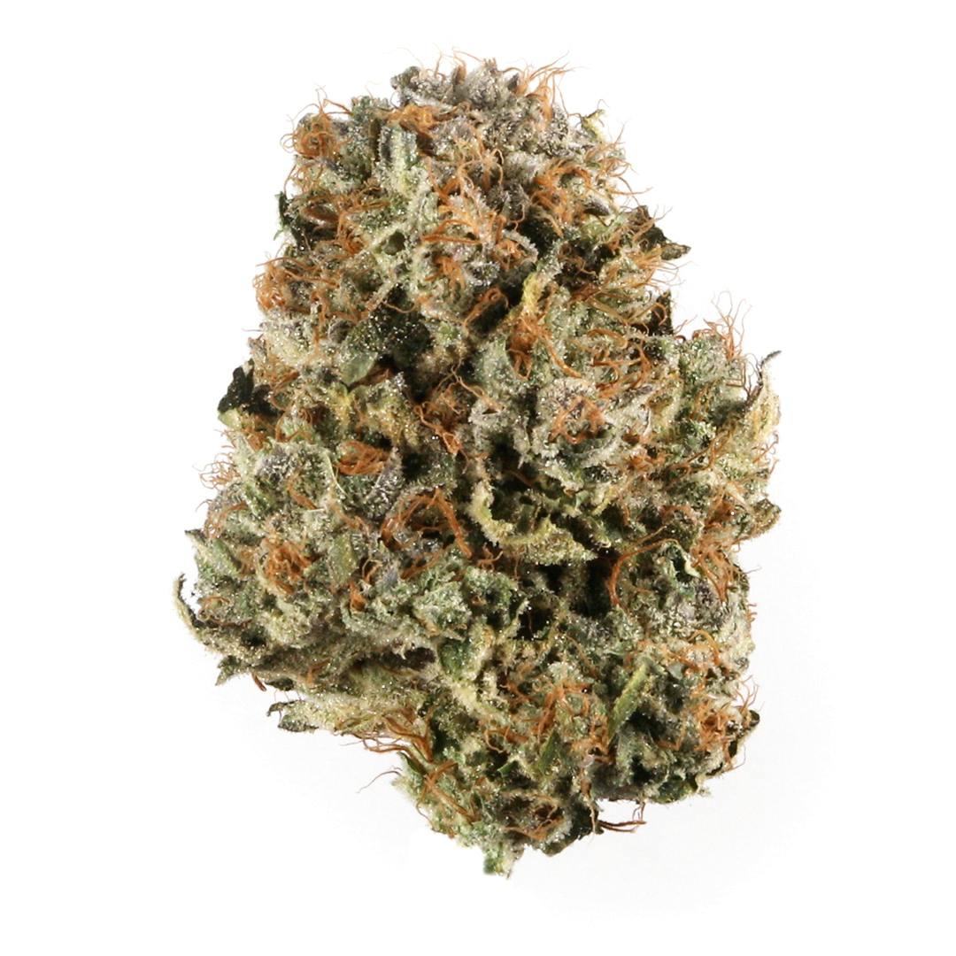 3.5G • Pink Panties | HYBRID | SMALLS