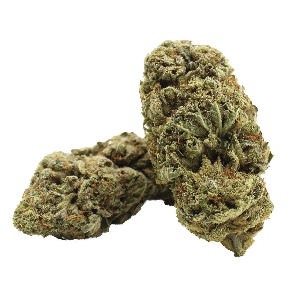 14G • Stone Road | Mango Tango | HYBRID | SMALLS