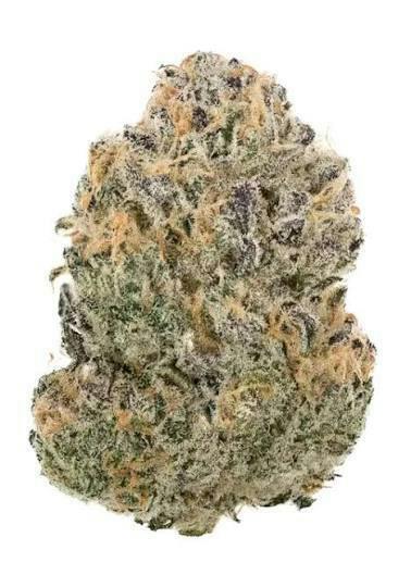 GORILLA GLUE #4 - DELI