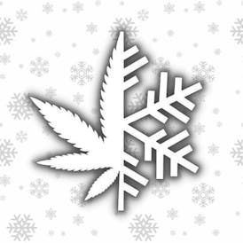 Snow Tree Farms Live Hash Rosin.