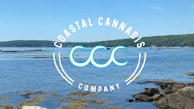 Coastal Cannabis 3.5g. Snowcaps.