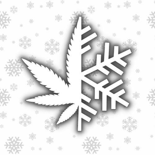Snow Tree Farms Bubble Hash.