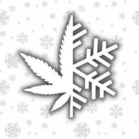 Snow Tree Farms Tier 1 Bubble Hash.
