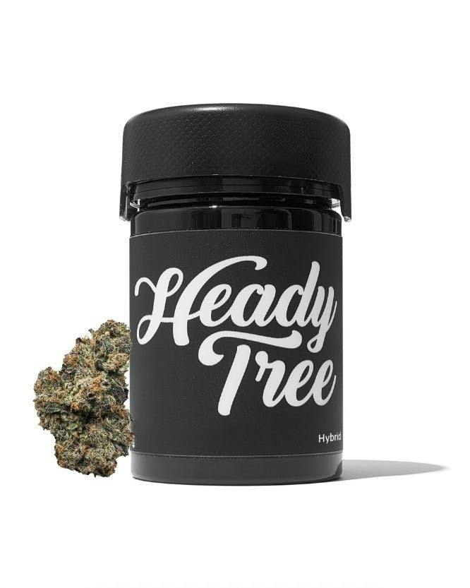 Heady Tree Hawaiian Snow Cone