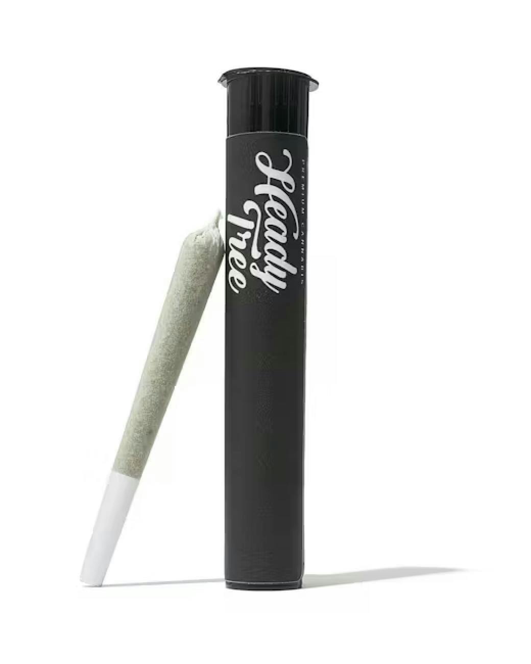 Lemon Cherry Sherbet | Joint | 1g by Heady Tree