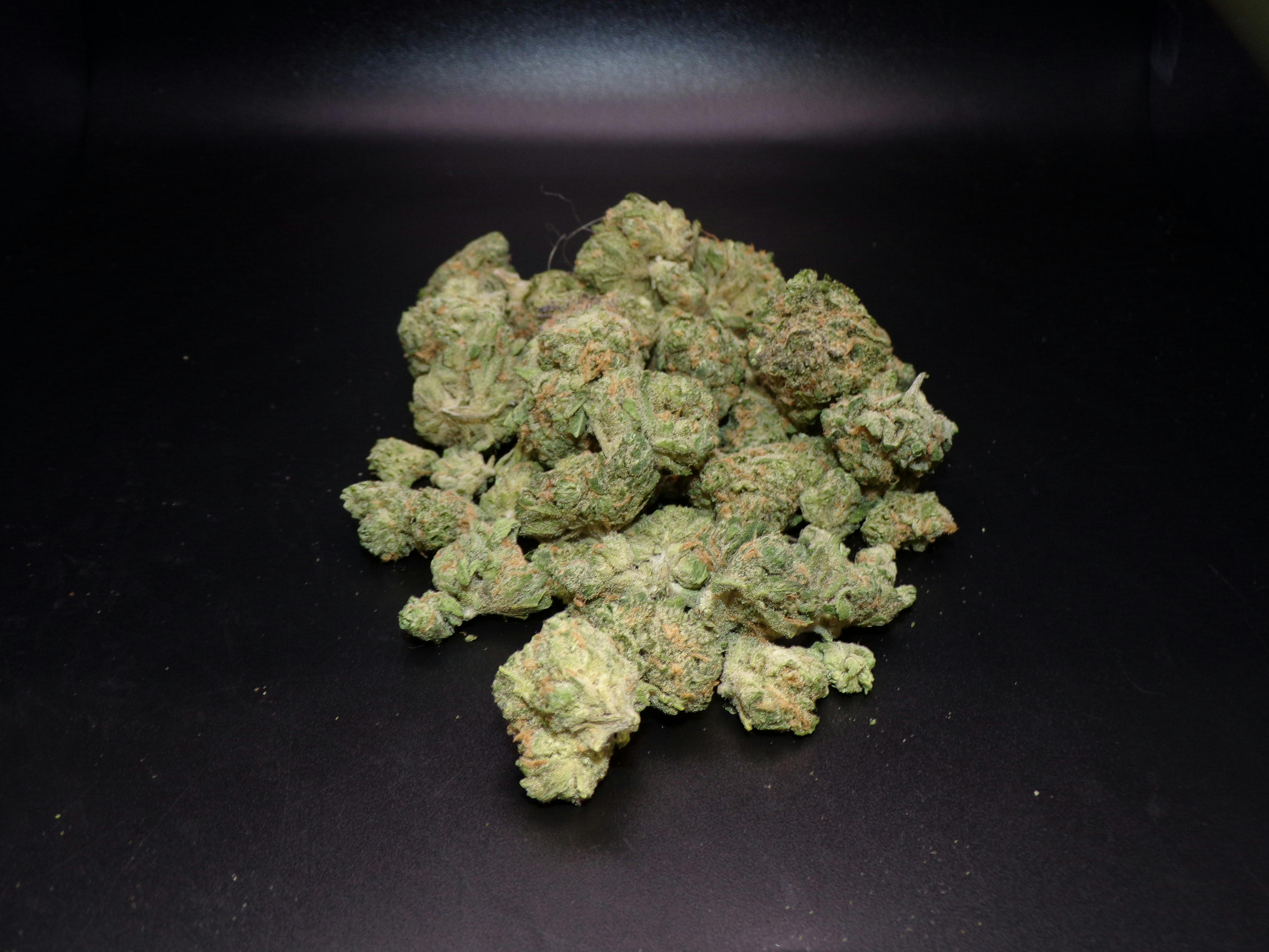 BOLD - Blue Dream 14g
