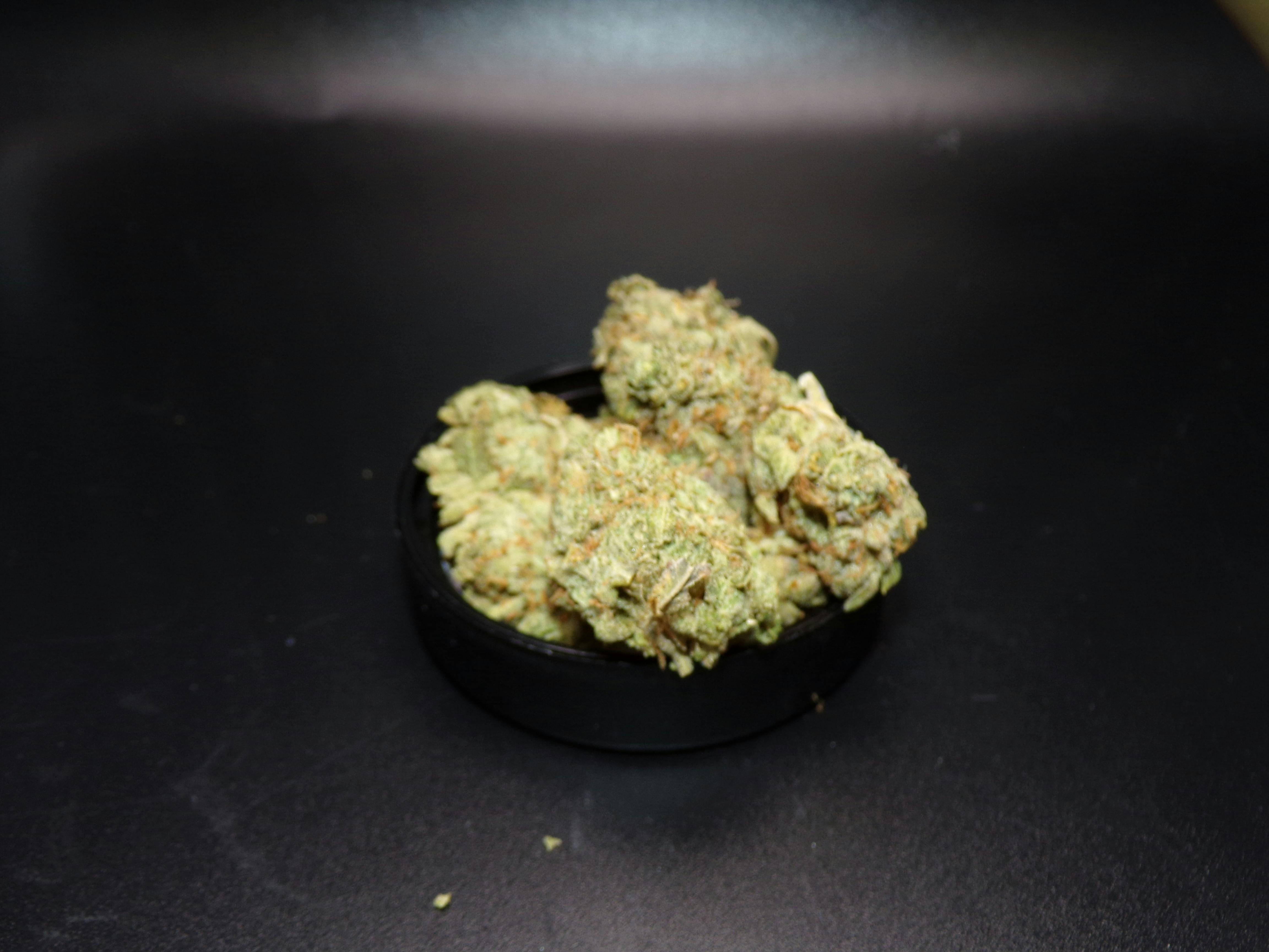 Crescendo #11 | Big Buds | 3.5g