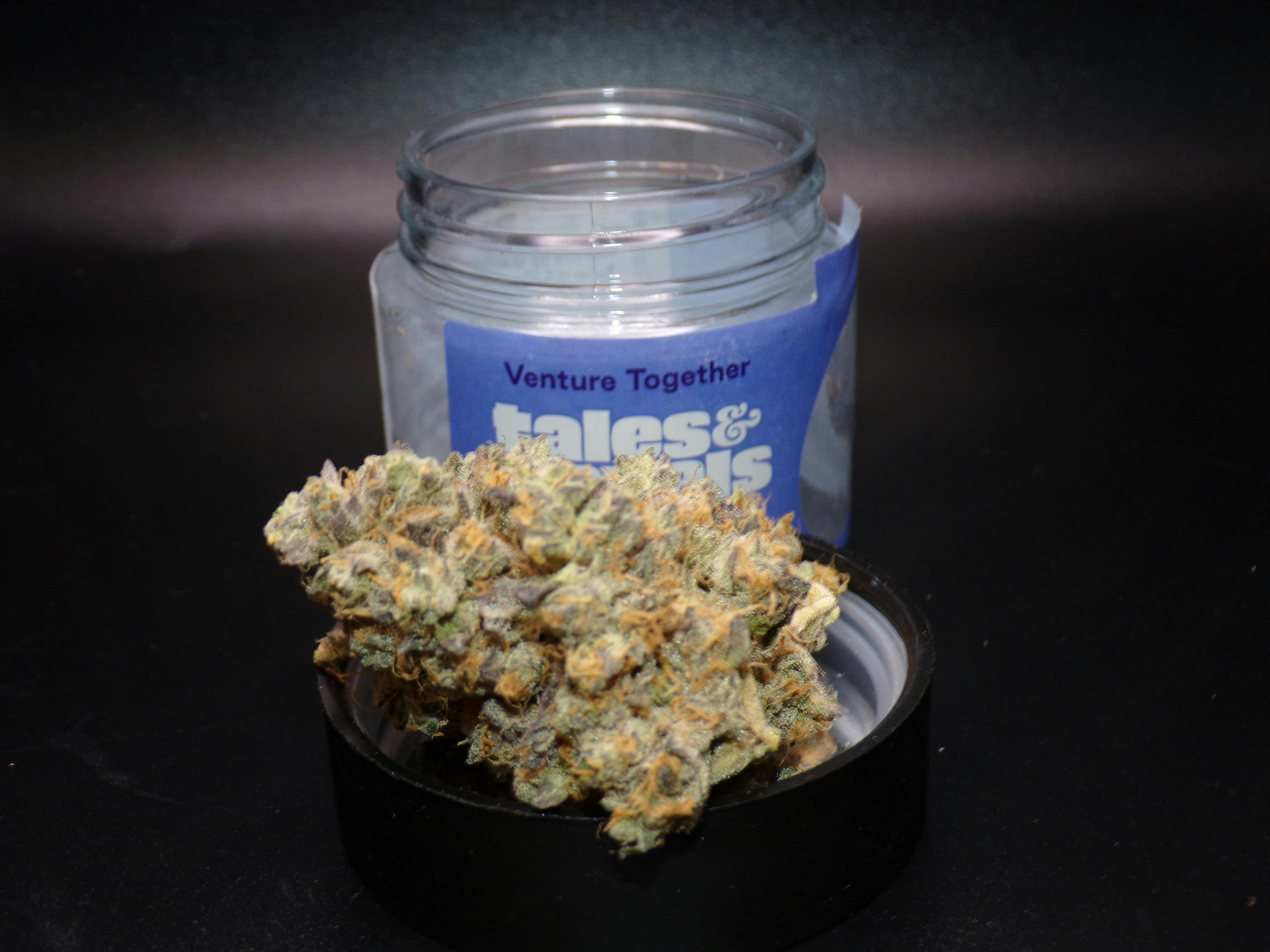 Revolution | Bionic Cheetah | Flower | 3.5G