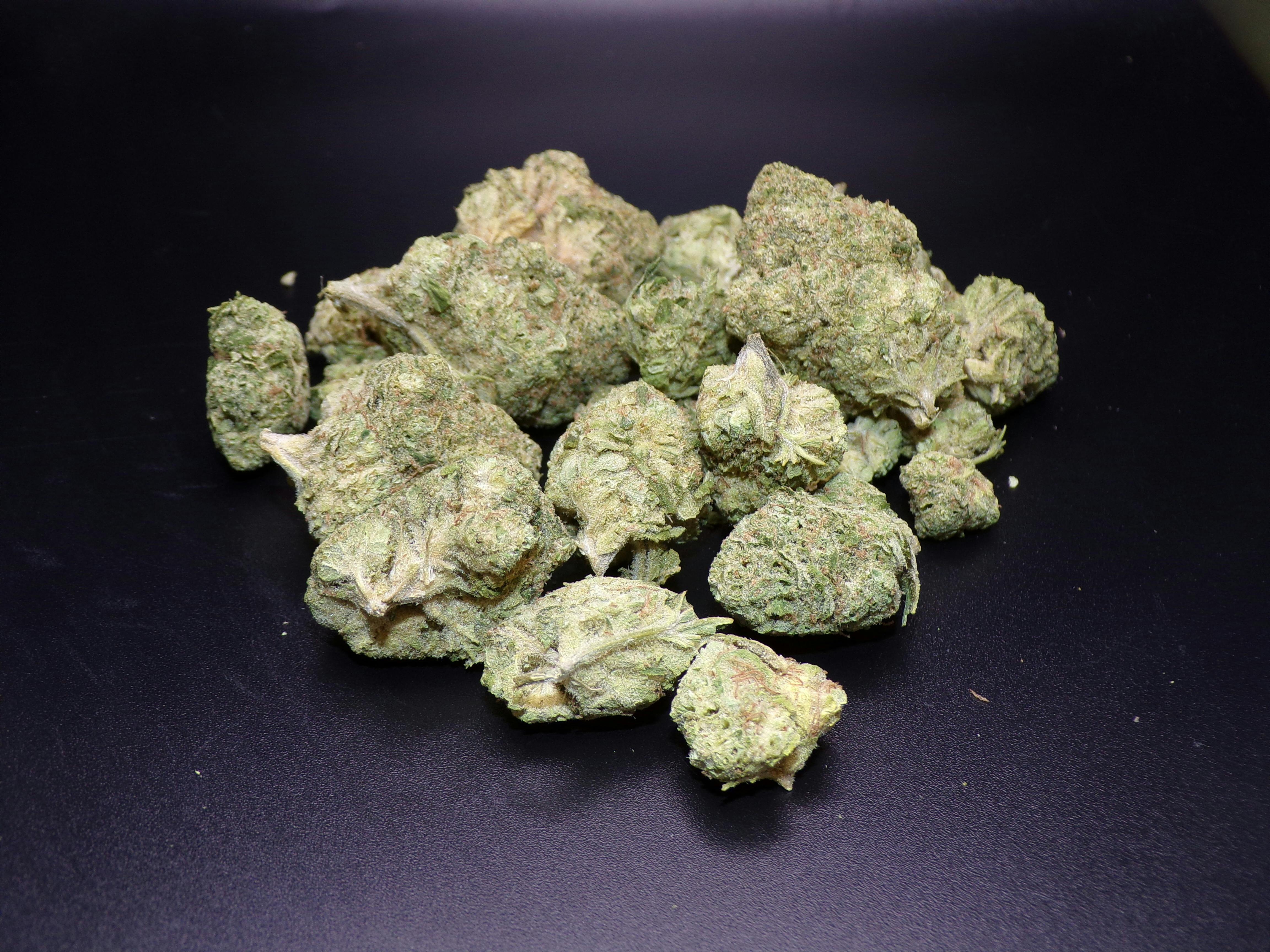 BOLD - Ecto Cooler 14g