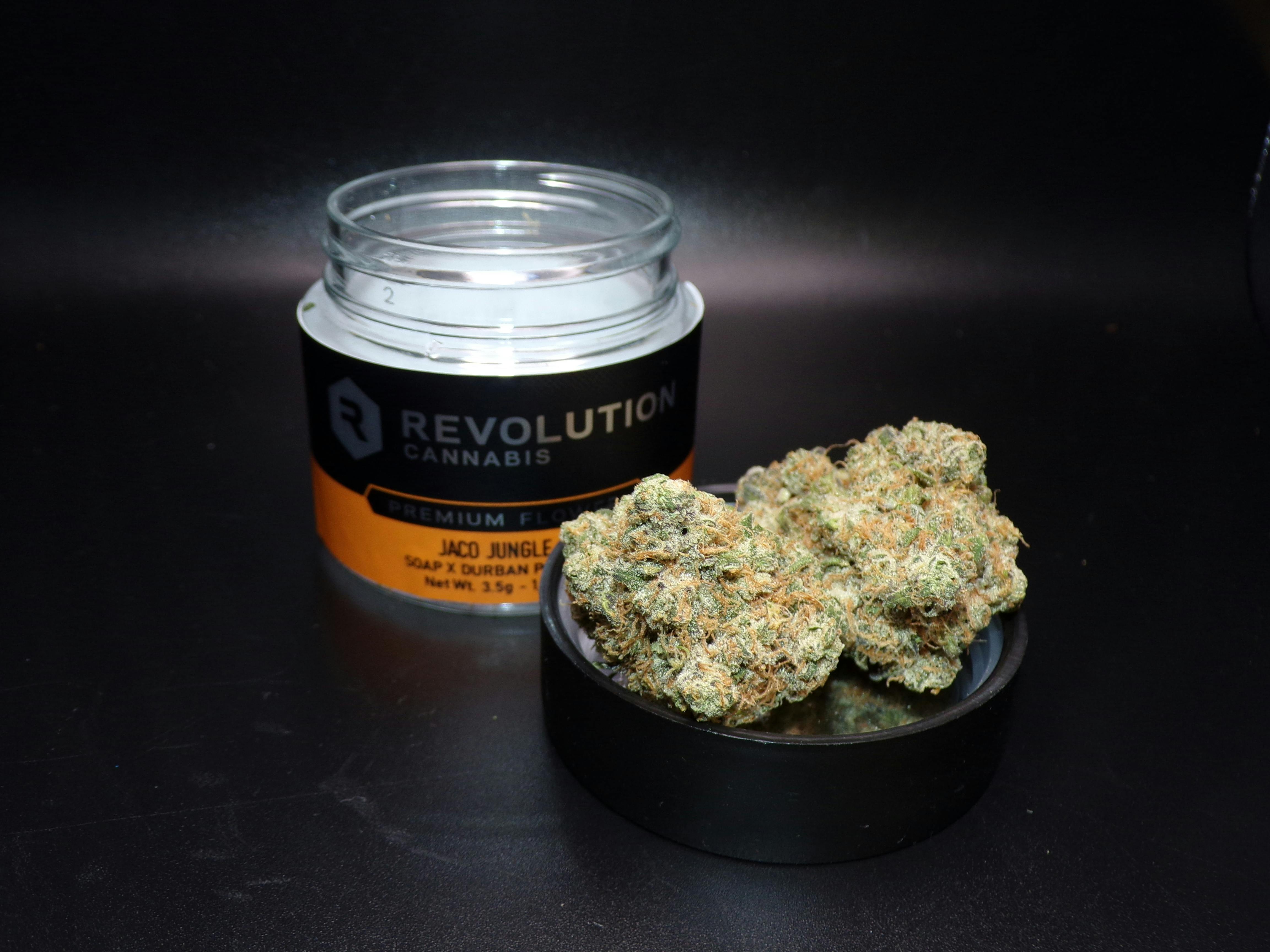 Revolution Cannabis - Jaco Jungle 3.5g