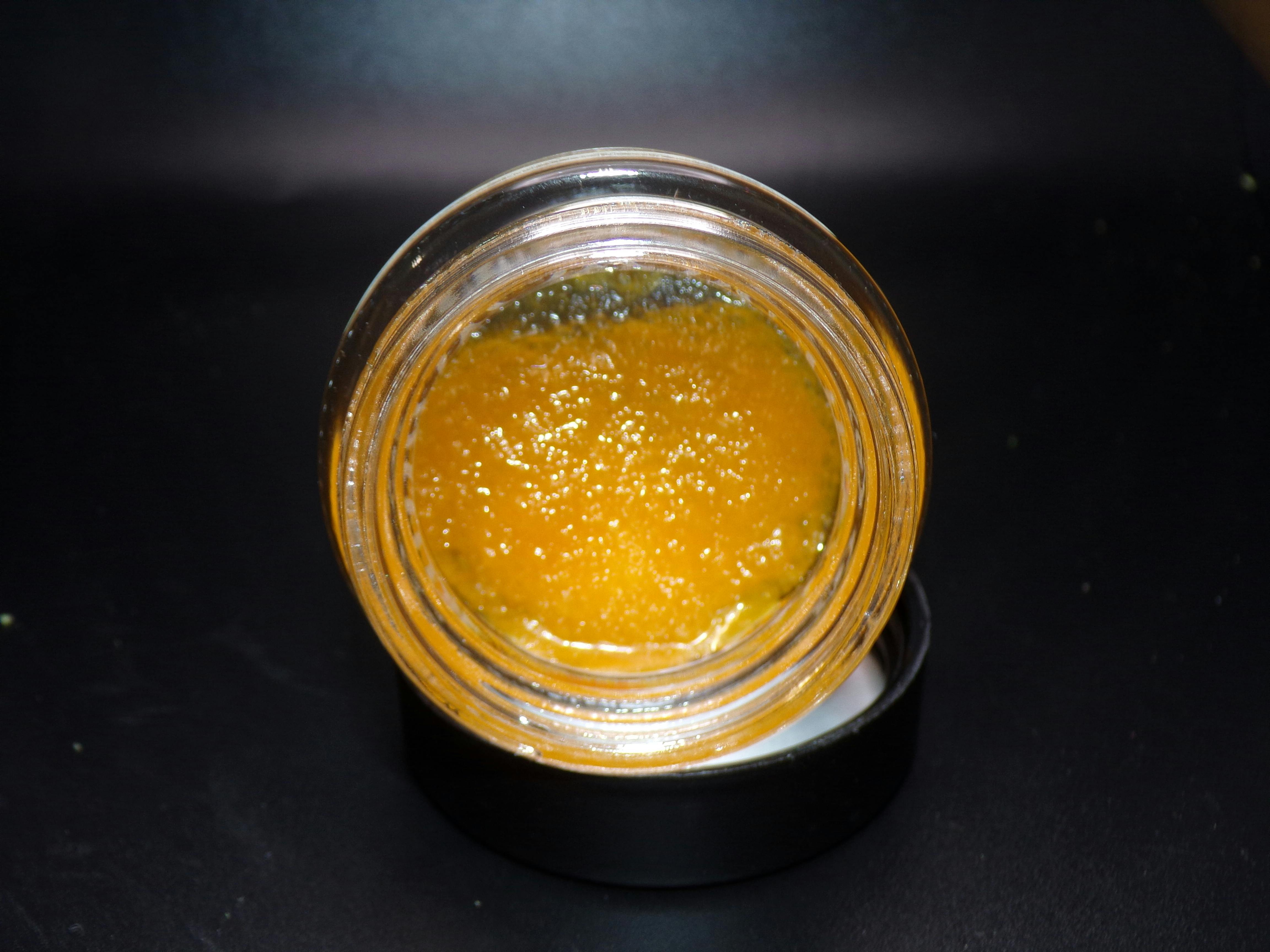 BOLD - 24k GG4 Terp Sugar 7g