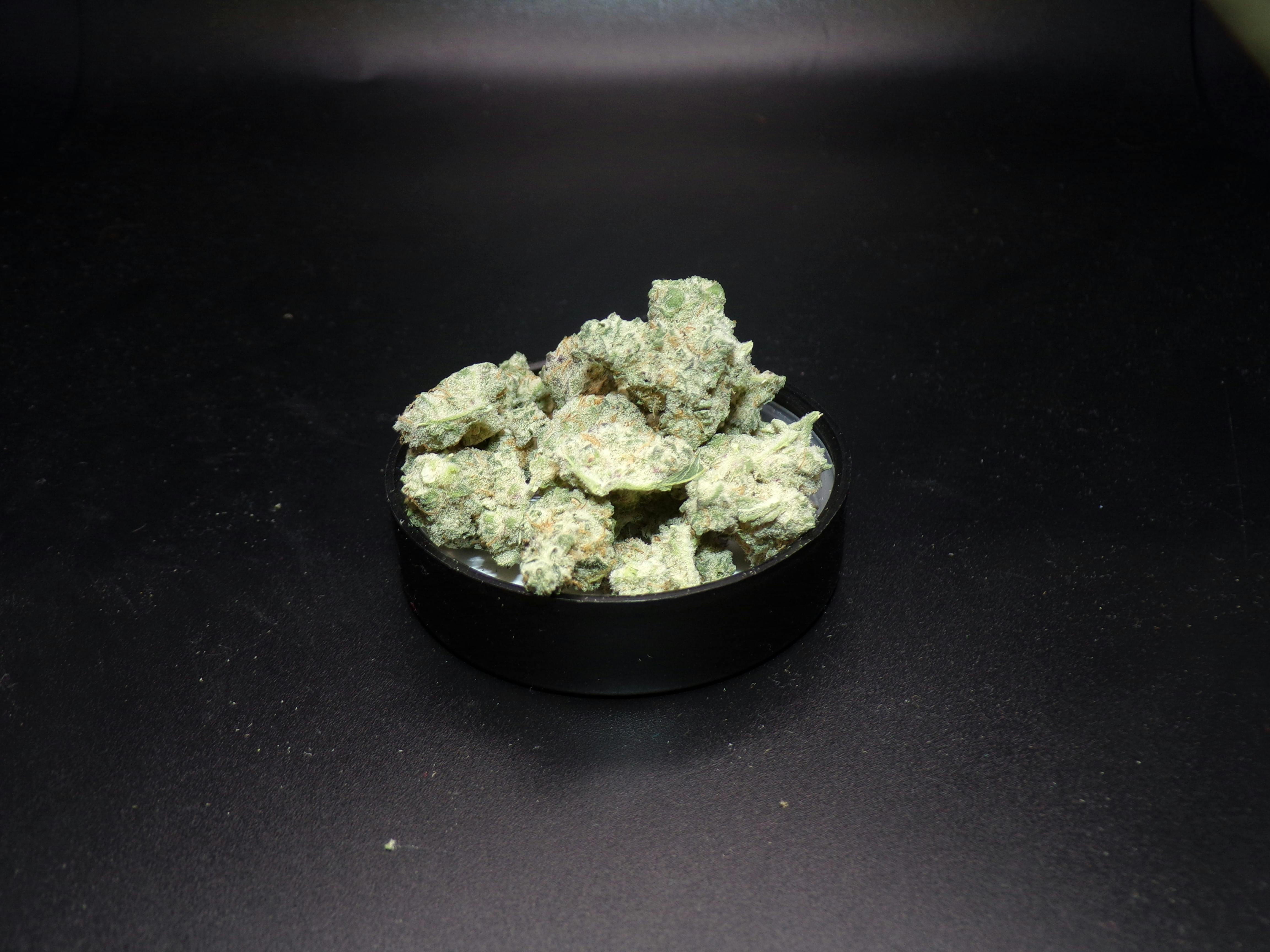 Leafology - GMO Pie Bargain Buds 3.5g