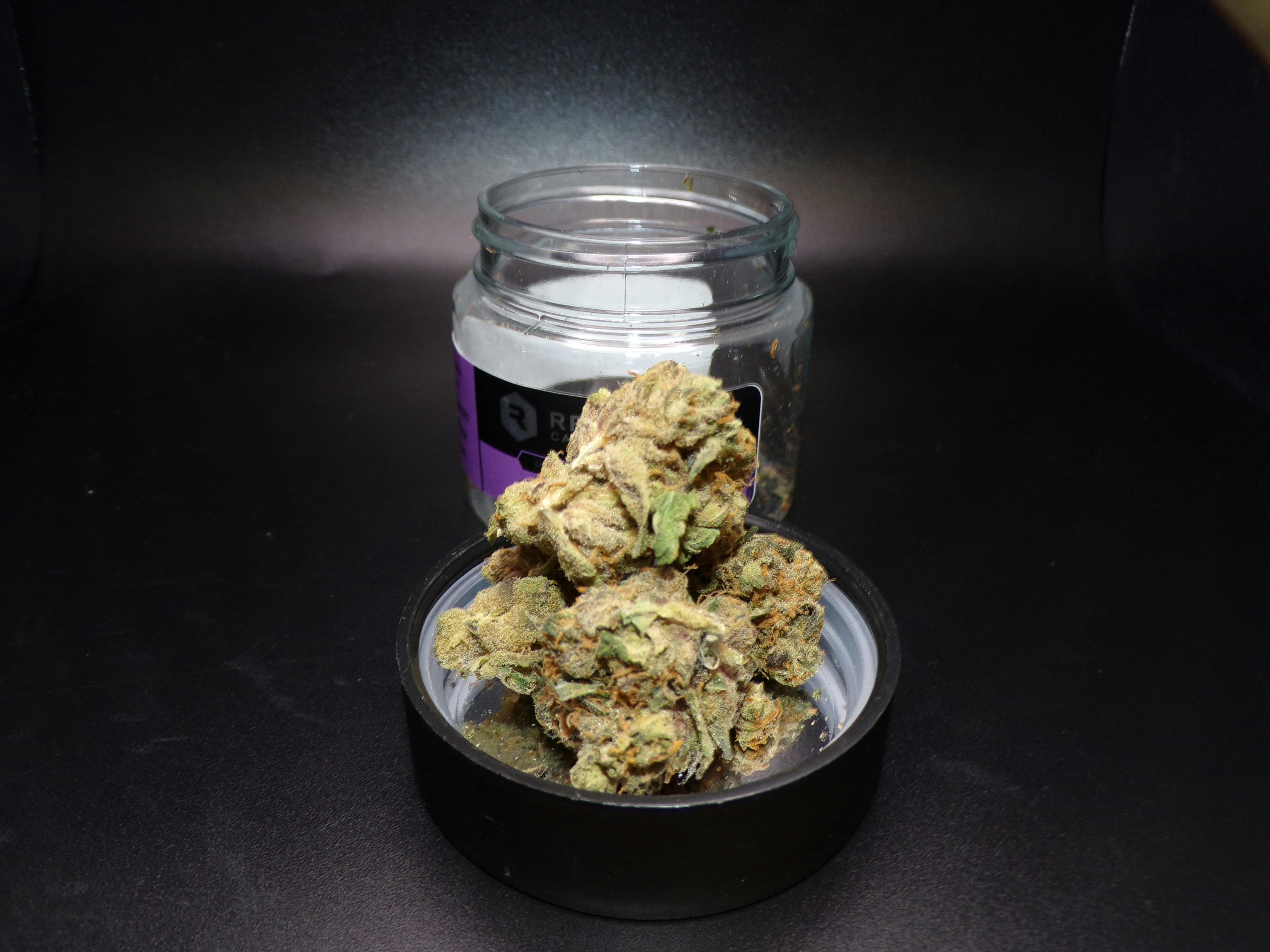 Revolution | Revlato 41 | Flower | 3.5G