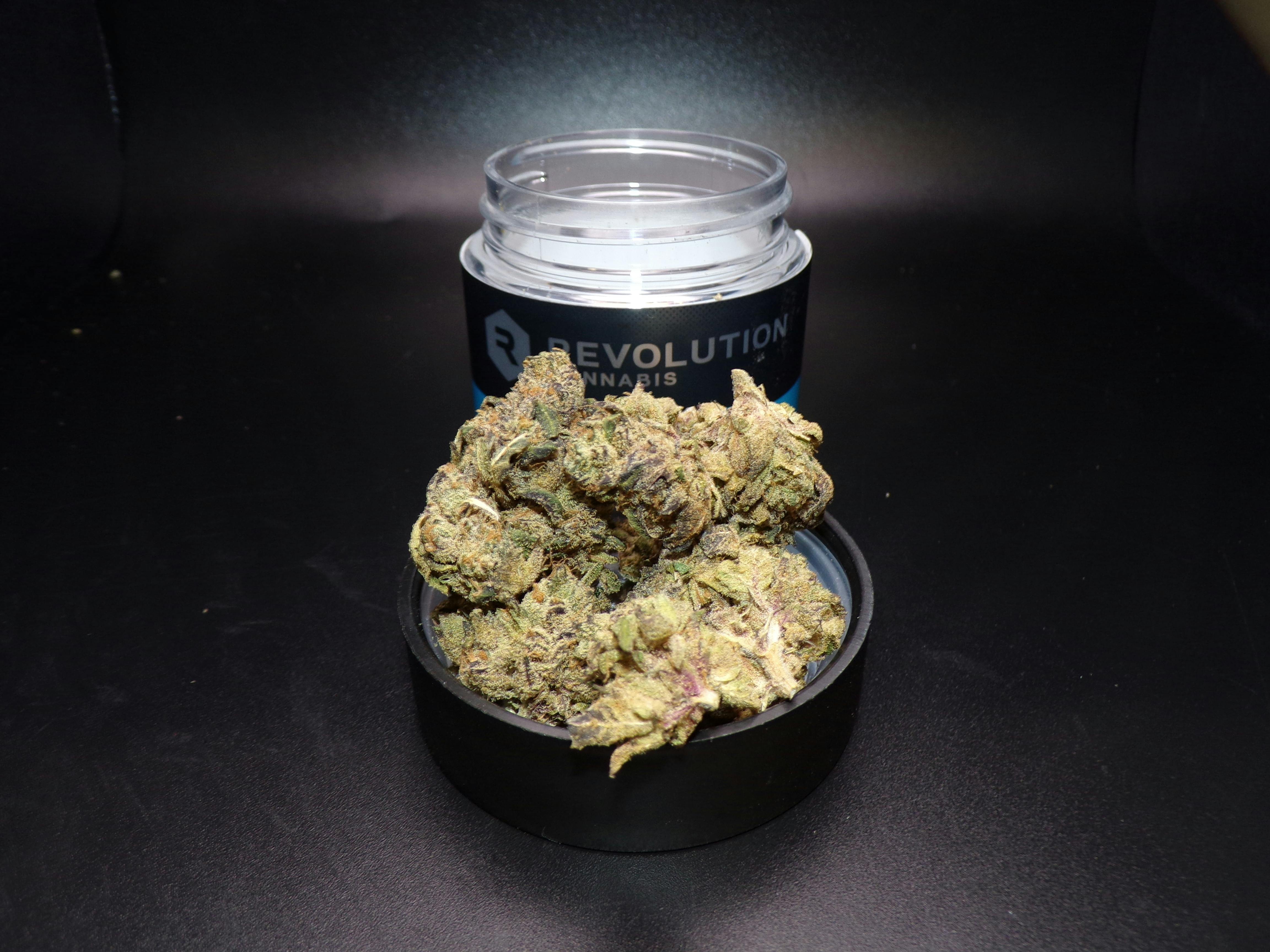 Revolution | Kush Mintz #3 | Flower | 3.5G