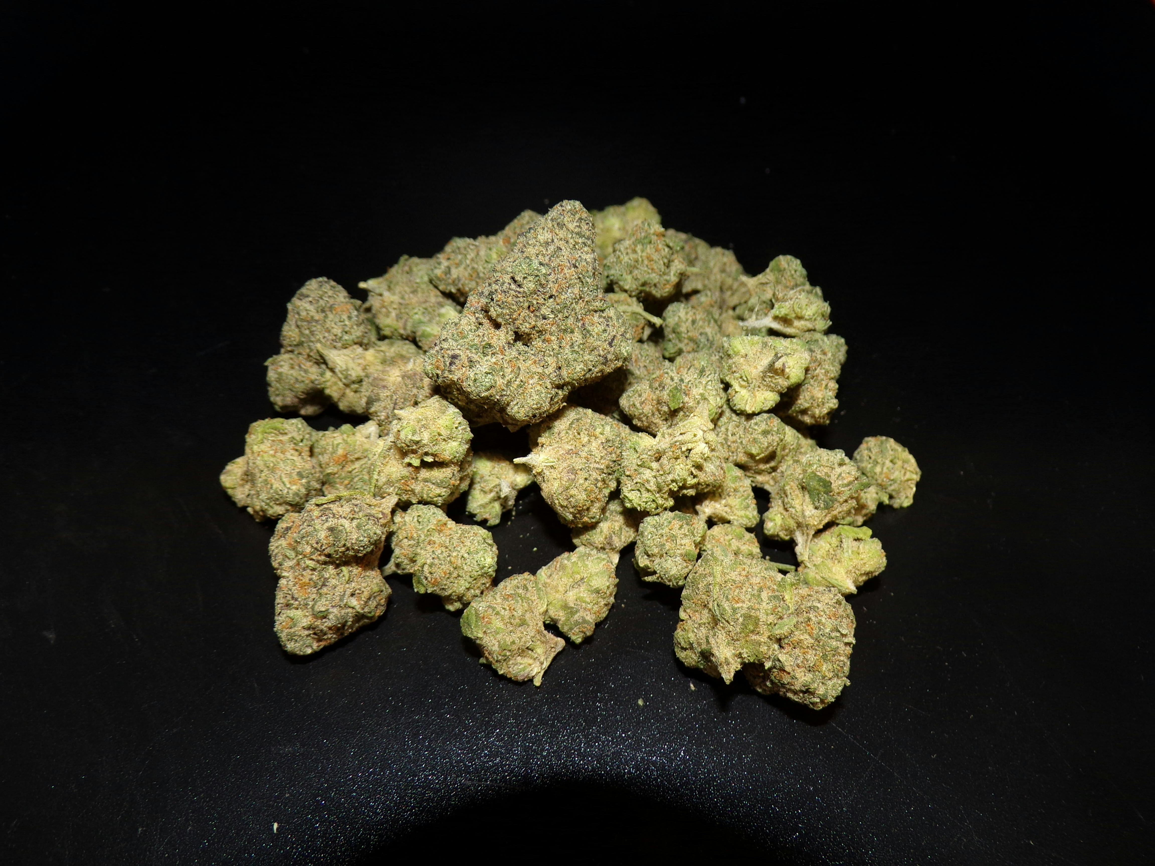 BOLD - Caramel Cream 14g