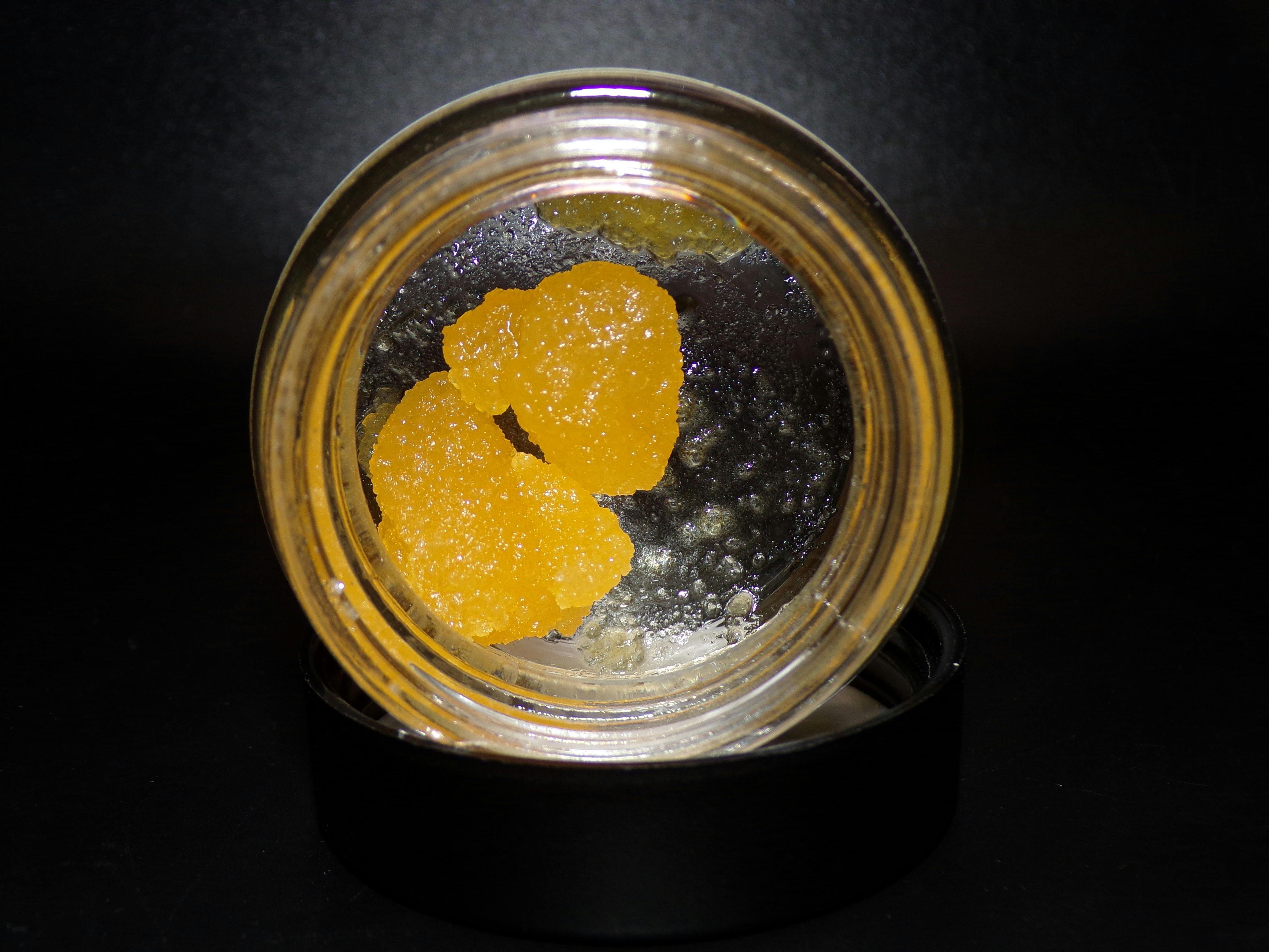 BOLD - Super Lemon Haze Terp Sugar 7g