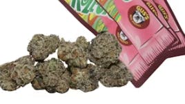 Gus's Real Exotics | Zoot Roll-ups Deli
