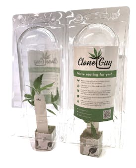 CLONE GUY - FROSTED DONUTS SINGLE CLONE