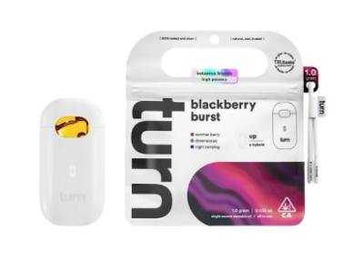 Blackberry Burst | Botanica Blends | AIO | Sativa-Hybrid (1)