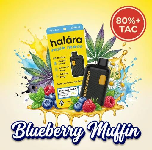 Blueberry Muffin Live Resin Sauce AIO - 1 g