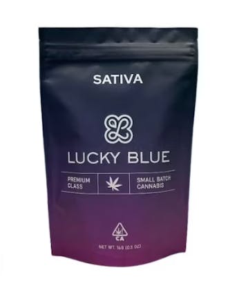 Lucky: Blue- Chocolope