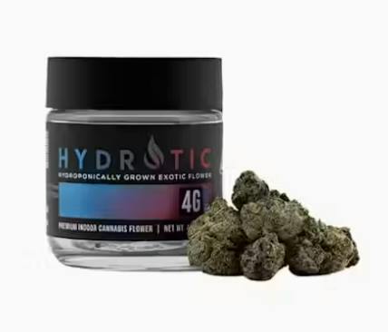 Hydrotic: Frozen Fortune