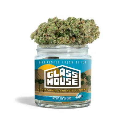 Gelato #33 [3.5g Jar]