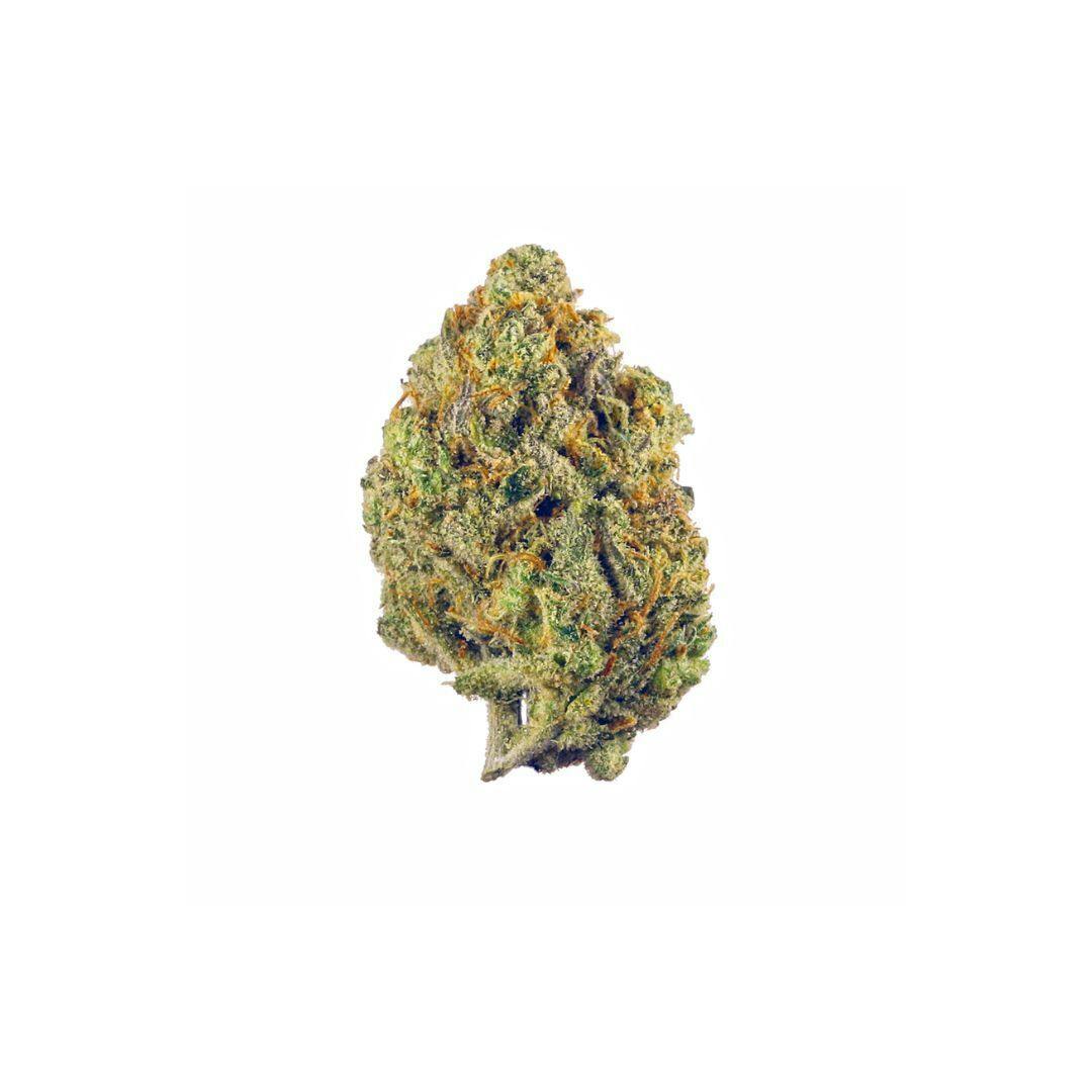 REDFOX CANNABIS | BLUE GELATO 41 | BULK FLOWER