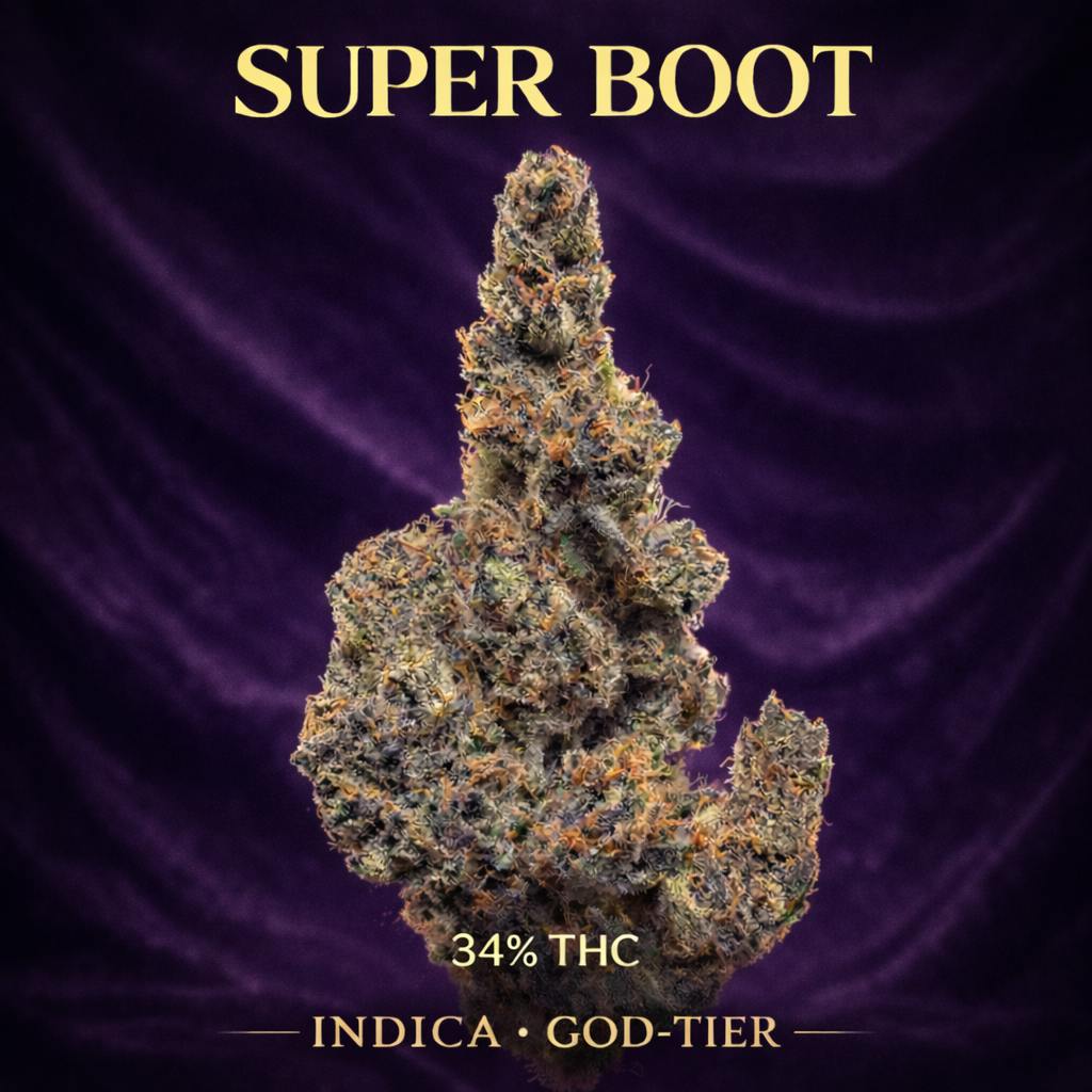 HITS | SUPER BOOT | INDICA 34% | TOP-SHELFplus (14G) | EXOTICS