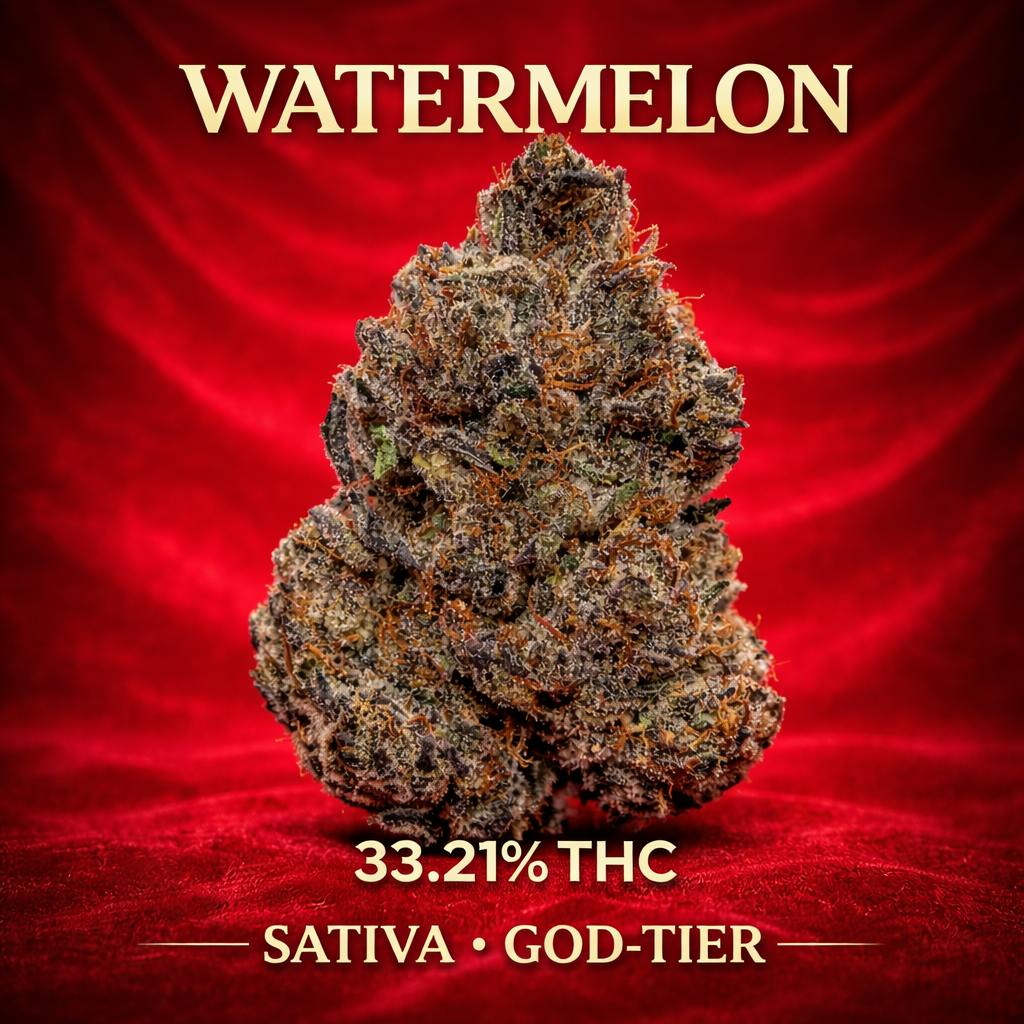 HITS | WATERMELON | SATIVA 33.21% | TOP-SHELFplus (14G) | EXOTICS