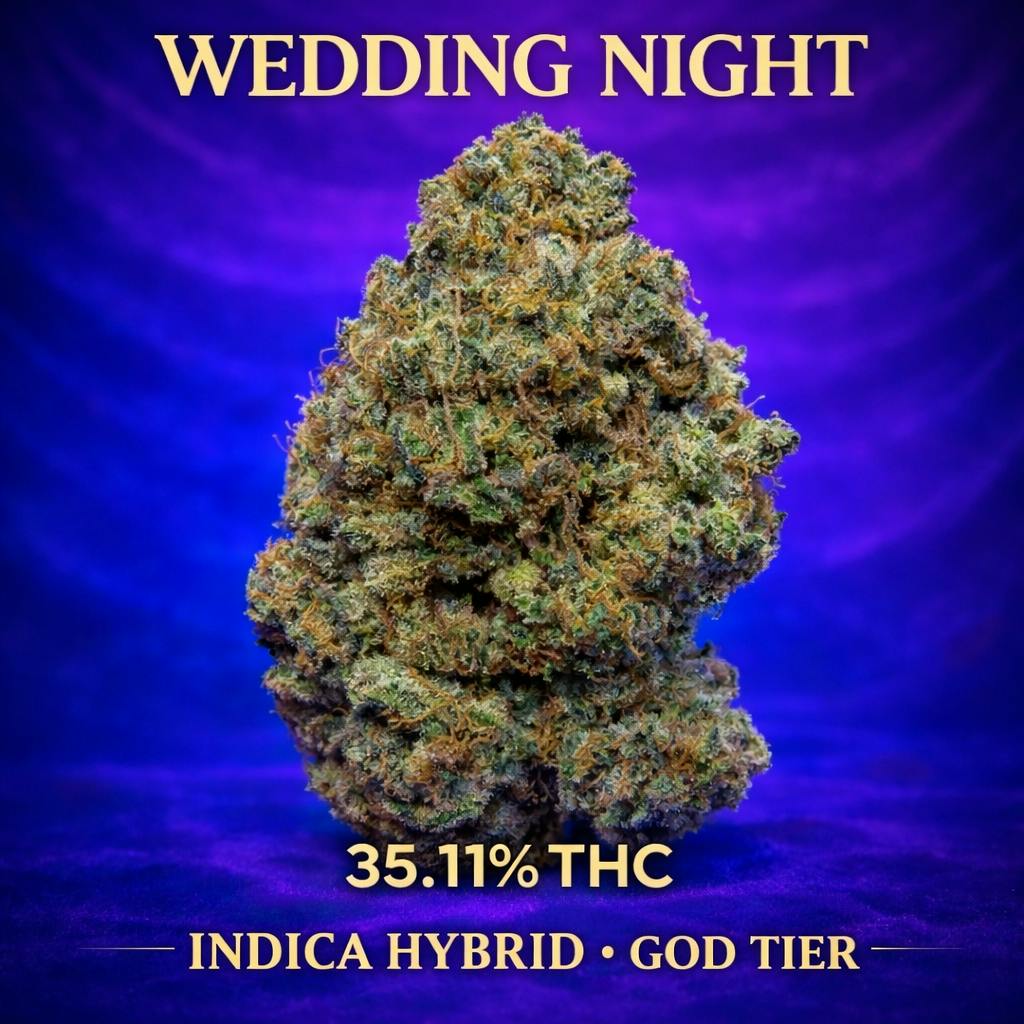 HITS | WEDDING NIGHT | HYBRID 35.11% | TOP-SHELFplus (14G) | CLASSIC