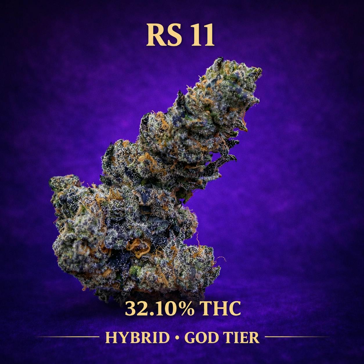HITS | RS 11 | HYBRID 32.10% | TOP-SHELF | EXOTICS