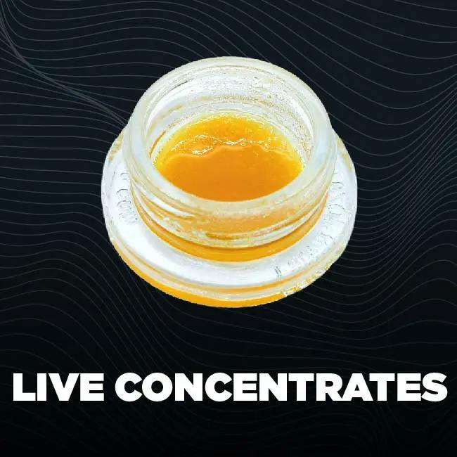 Modern Flower Concentrates
