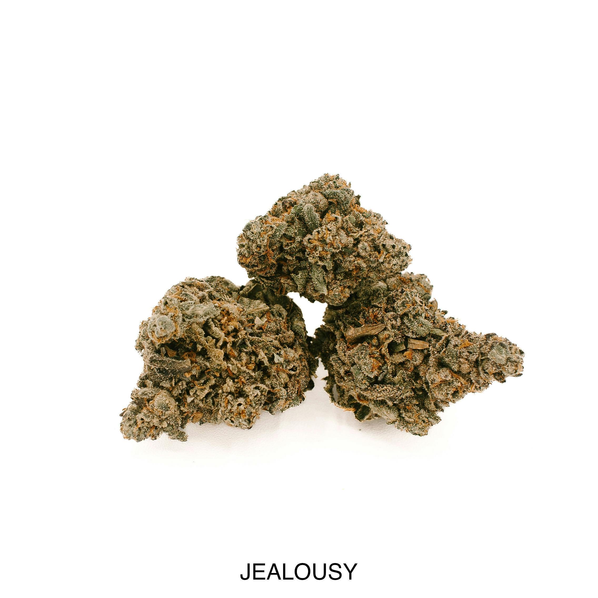 BW - Jealousy - Flower